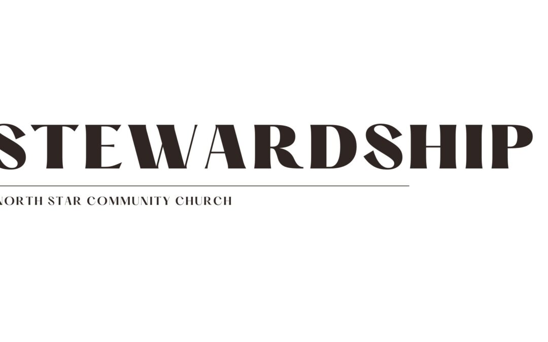 Stewardship Week 4