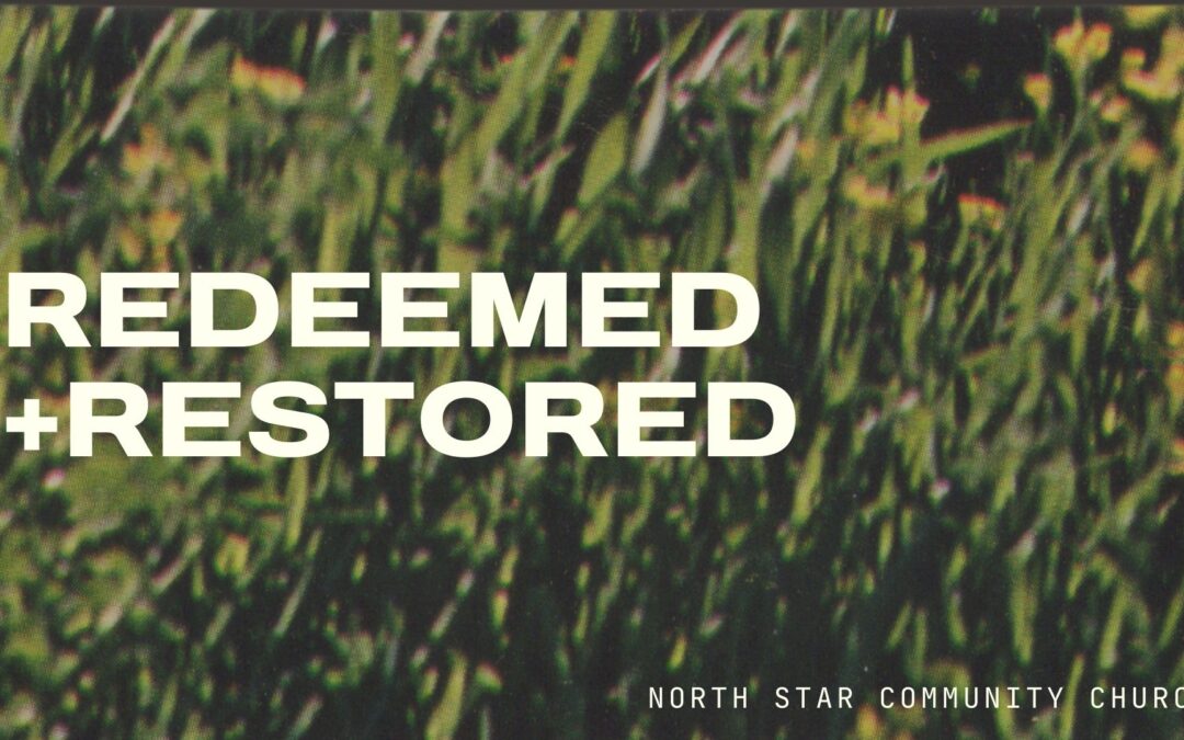 Redeemed and Restored Week 5