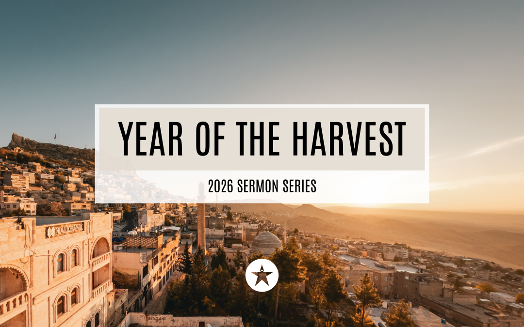 Year Of The Harvest Week 8