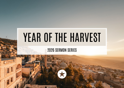 Year Of The Harvest Week 8